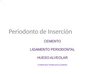 periodonto_de_inserci_n_alumnos.ppt