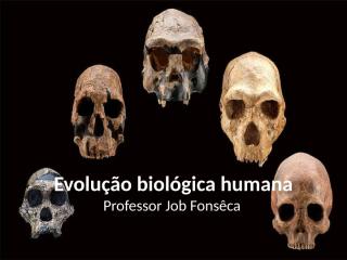 evolução biológica humana (1).pptx
